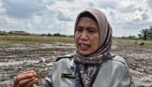 Pengelolaan Tim Solid, Sumut Tingkatkan Produksi