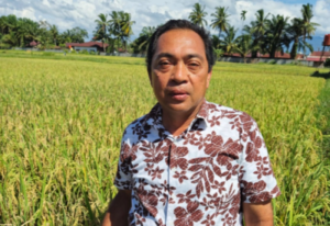 Primadona Padi Gogo Bikin Palas Kian “Margogo”