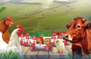 Hilirisasi Inklusif Berdikari: TRANSFORMASI PETERNAKAN UNTUK ASTA CITA