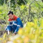 Hutan Lestari Pertamina: Menenun Harmoni Alam, Menuai Kesejahteraan Masyarakat