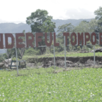 Desa BRILiaN Tompobulu: Bukti Nyata Sinergi Potensi Lokal dan Digitalisasi Dorong Pertumbuhan Ekonomi Berkelanjutan