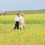 Tegaskan Kesiapan Indonesia Hadapi El Nino, Mentan: Stok Beras Tertinggi Sepanjang Sejarah