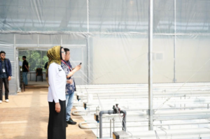 Smart Greenhouse Jadi Model Baru Inovasi Pangan Berkelanjutan