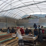 Dari Limbah Menjadi Sumber Penghidupan, Perempuan Nasabah PNM Mekaar di Bandung Barat Kembangkan Usaha lewat Sinergi Ultra Mikro BRI