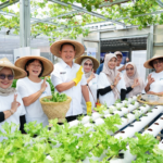 Perempuan Berdaya Lewat Program BRInita, Intip Kisah Inspiratif KWT Buaran Citra Lestari Manfaatkan Lahan Sempit untuk Tanaman Produktif