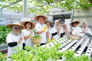 Perempuan Berdaya Lewat Program BRInita, Intip Kisah Inspiratif KWT Buaran Citra Lestari Manfaatkan Lahan Sempit untuk Tanaman Produktif
