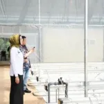 Teknologi Smart Greenhouse BRIN Dorong Ketahanan Pangan untuk Sukseskan Program MBG