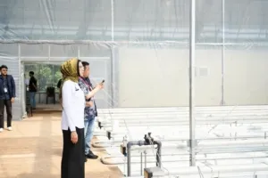 Teknologi Smart Greenhouse BRIN Dorong Ketahanan Pangan untuk Sukseskan Program MBG