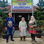 Berawal dari Satu Ekor Kini Tembus Seratus Ekor, UMKM Susu Kambing Ras Farm Tumbuh Pesat Berkat Dukungan KUR BRI