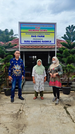 Berawal dari Satu Ekor Kini Tembus Seratus Ekor, UMKM Susu Kambing Ras Farm Tumbuh Pesat Berkat Dukungan KUR BRI