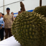 Bukti Keberhasilan Pengembangan Kawasan Transmigrasi Berbasis Komoditas Unggulan, 459 Ton Durian Parigi Moutong senilai Rp 42,5 Miliar Tembus Pasar Internasional