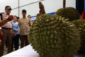 Bukti Keberhasilan Pengembangan Kawasan Transmigrasi Berbasis Komoditas Unggulan, 459 Ton Durian Parigi Moutong senilai Rp 42,5 Miliar Tembus Pasar Internasional