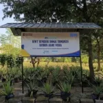 Perempuan Sleman Berdaya Lewat Budidaya Lidah Buaya, Kisah Kelompok Wanita Tani Sumber Boga Tamanan Tumbuh Bersama Dukungan BRI