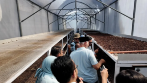 Bukan Energi Listrik Saja, Begini Cara Pertamina Dorong Pemanfaatan Panas Bumi untuk Perekonomian Rakyat