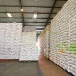 Dunia Waswas Krisis Pangan, Indonesia Justru Catat Rekor CBP 4,7 Juta Ton