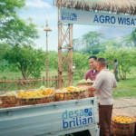BRI Resmikan Kick-Off Desa BRILiaN 2026 untuk Dorong Transformasi Desa 5.0