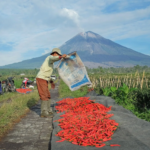 Komitmen Dukung Ketahanan Pangan Nasional, BRI Salurkan KUR Rp65,95 Triliun, Jangkau 558 Ribu Petani dan 23 Ribu Nelayan per April 2026