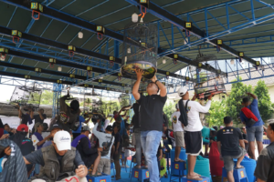 Dorong Pertumbuhan Ekonomi melalui Komunitas Hobi, Mendag Busan Buka Lomba Burung Berkicau dan Festival UMKM