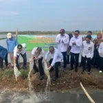 Dari Padi Biosalin ke Minapadi Salin, PGN – BRIN – Pemkab Batang Dorong Nilai Ekonomi Lahan Pesisir Batang