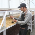 Dari Panas Bumi: Inovasi Pertamina Hadirkan Secangkir Kopi