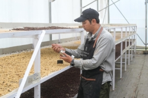 Dari Panas Bumi: Inovasi Pertamina Hadirkan Secangkir Kopi