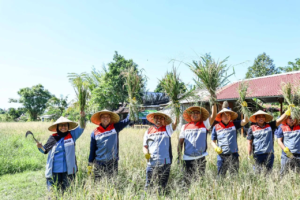 Wujud Keberhasilan Swasembada Pangan dan Energi, Komisaris Pertamina Apresiasi Program TJSL Uma Palak Lestari