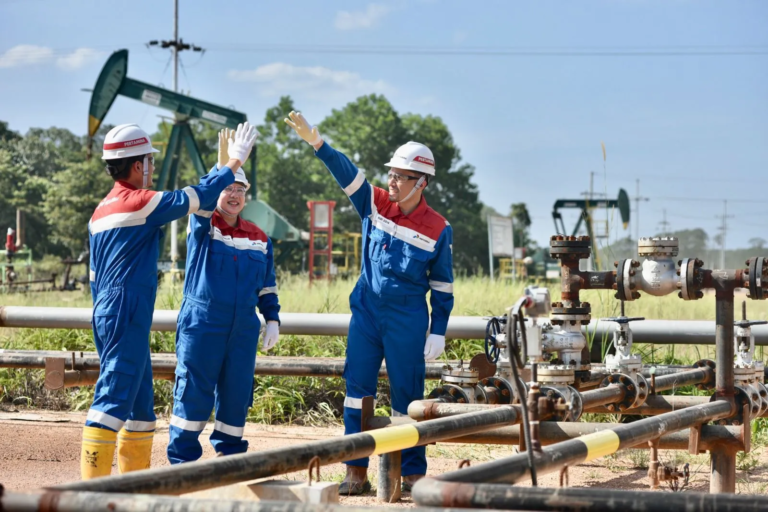 19 Tahun PHE, Perkuat Ketahanan Energi Nasional Melalui Kinerja Hulu Migas yang Tangguh