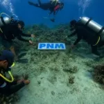 Upaya PNM Hadirkan Masa Depan Anak-Anak Lewat Pelestarian Laut