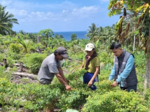 Di Tengah Bentang Kepulauan Talaud, Mantri BRI Hadir Menggerakkan Denyut Nadi Perekonomian