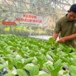 Ketika Keterbatasan Tidak Jadi Penghalang, DEB Dorong Kemandirian Penyandang Disabilitas di Boyolali