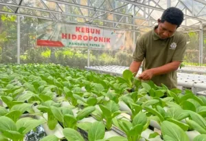 Ketika Keterbatasan Tidak Jadi Penghalang, DEB Dorong Kemandirian Penyandang Disabilitas di Boyolali