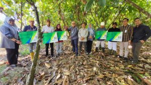 Lindungi Petani Kakao, BPJS Ketenagakerjaan Perkuat Rantai Pasok Industri Kakao Nasional