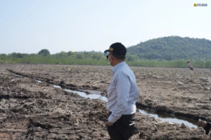 Pastikan Kesiapan Lahan, Menteri Dody Targetkan 3 Sekolah Rakyat di Kepri Rampung Juni 2027