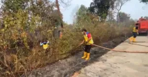 Kementerian PU Perkuat Dukungan Air untuk Tangani Karhutla di Kalimantan dan Jambi