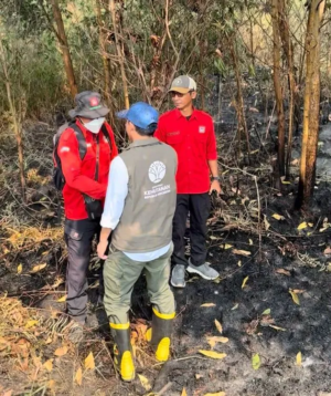 Menhut Raja Antoni Turun ke Lokasi Karhutla Kalsel, Operasi Pemadaman Diperkuat