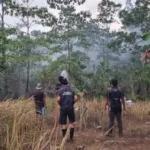Karhutla Ancam Permukiman Transmigran di Merauke, TEP UGM dan Warga Bergerak Padamkan Api