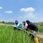 Electrifying Agriculture PLN Bantu Jaga Produktivitas Petani di Musim Kemarau