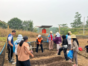 Dorong Ketahanan Pangan, Transmigran Gerbang Mas Perkasa dan TEP UI Sulap Lahan Tandus Jadi Pekarangan